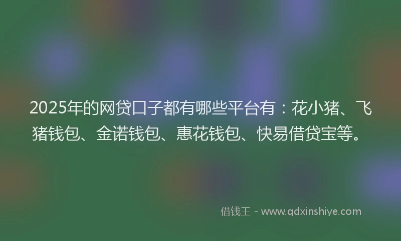 2025年的网贷口子都有哪些平台有：花小猪、飞猪钱包、金诺钱包、惠花钱包、快易借贷宝等。
