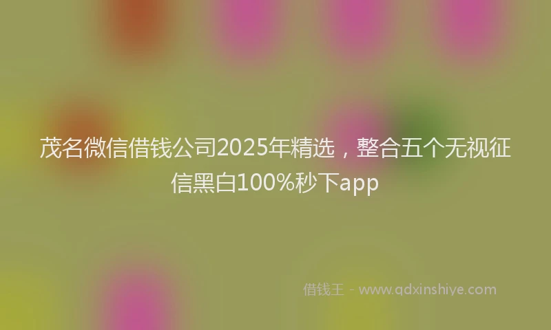 茂名微信借钱公司2025年精选，整合五个无视征信黑白100%秒下app