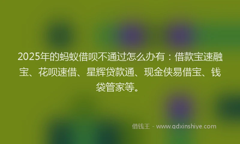 2025年的蚂蚁借呗不通过怎么办有：借款宝速融宝、花呗速借、星辉贷款通、现金侠易借宝、钱袋管家等。