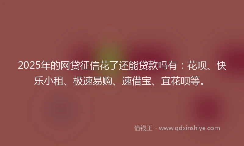 2025年的网贷征信花了还能贷款吗有：花呗、快乐小租、极速易购、速借宝、宜花呗等。