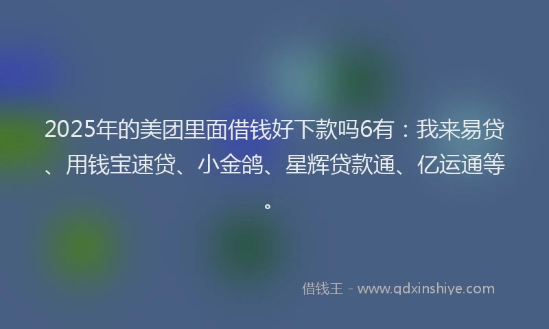2025年的美团里面借钱好下款吗6有：我来易贷、用钱宝速贷、小金鸽、星辉贷款通、亿运通等。
