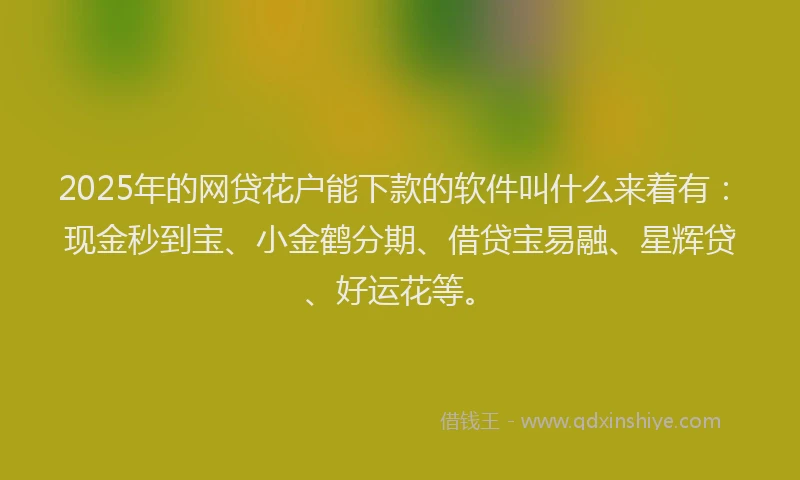 2025年的网贷花户能下款的软件叫什么来着有：现金秒到宝、小金鹤分期、借贷宝易融、星辉贷、好运花等。