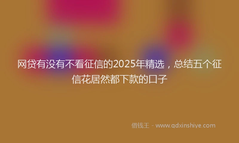网贷有没有不看征信的2025年精选，总结五个征信花居然都下款的口子
