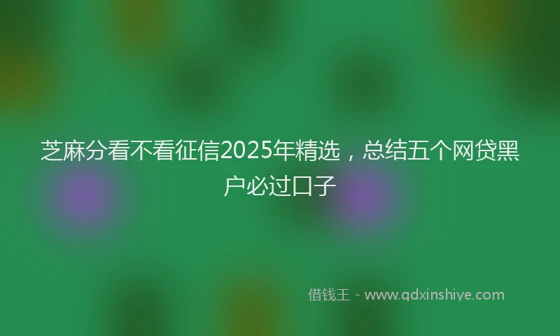 芝麻分看不看征信2025年精选，总结五个网贷黑户必过口子