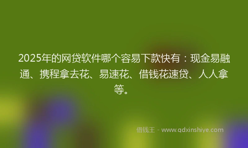 2025年的网贷软件哪个容易下款快有：现金易融通、携程拿去花、易速花、借钱花速贷、人人拿等。