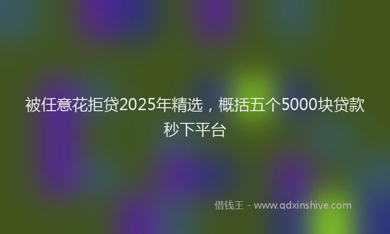 被任意花拒贷2025年精选，概括五个5000块贷款秒下平台