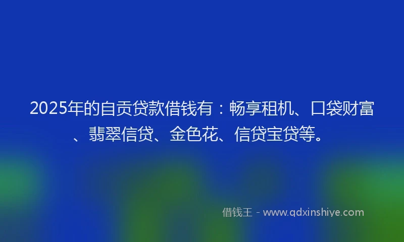 2025年的自贡贷款借钱有：畅享租机、口袋财富、翡翠信贷、金色花、信贷宝贷等。