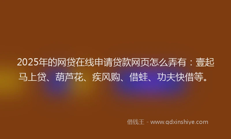 2025年的网贷在线申请贷款网页怎么弄有：壹起马上贷、葫芦花、疾风购、借蛙、功夫快借等。