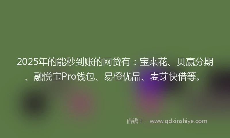 2025年的能秒到账的网贷有：宝来花、贝赢分期、融悦宝Pro钱包、易橙优品、麦芽快借等。