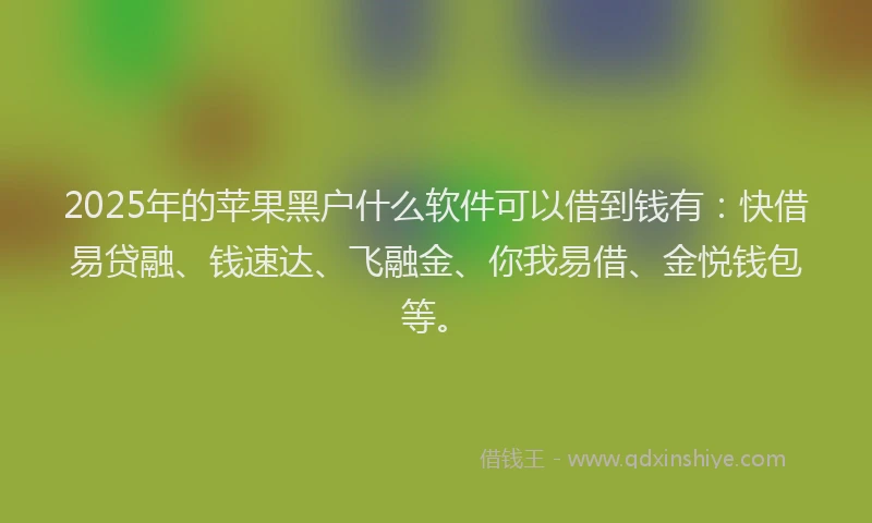 2025年的苹果黑户什么软件可以借到钱有：快借易贷融、钱速达、飞融金、你我易借、金悦钱包等。
