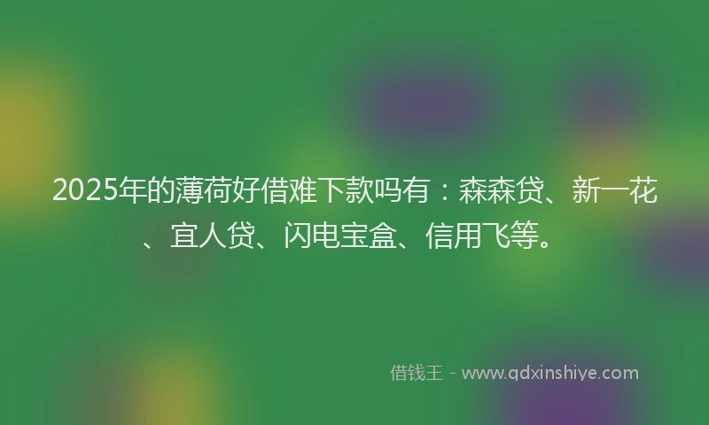 2025年的薄荷好借难下款吗有：森森贷、新一花、宜人贷、闪电宝盒、信用飞等。