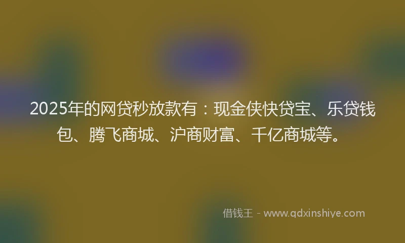 2025年的网贷秒放款有：现金侠快贷宝、乐贷钱包、腾飞商城、沪商财富、千亿商城等。