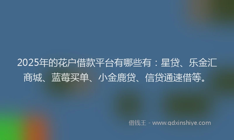 2025年的花户借款平台有哪些有：星贷、乐金汇商城、蓝莓买单、小金鹿贷、信贷通速借等。