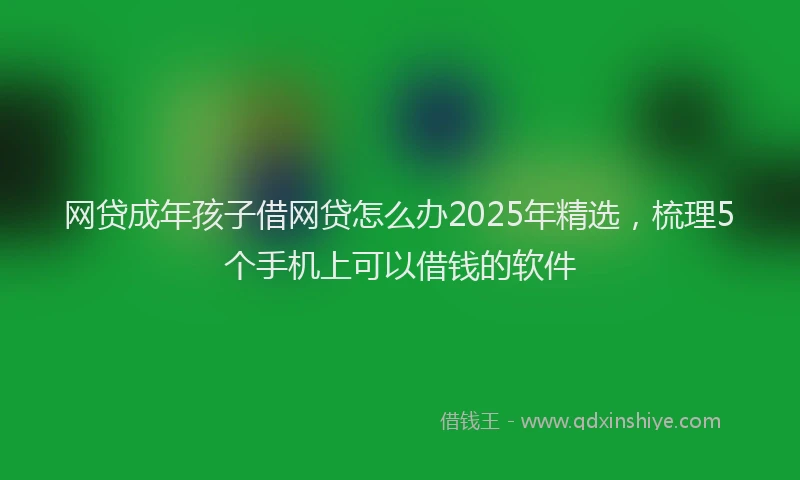 网贷成年孩子借网贷怎么办2025年精选，梳理5个手机上可以借钱的软件