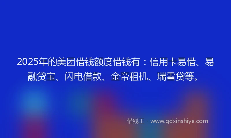 2025年的美团借钱额度借钱有：信用卡易借、易融贷宝、闪电借款、金帝租机、瑞雪贷等。