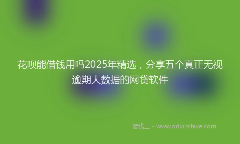 花呗能借钱用吗2025年精选，分享五个真正无视逾期大数据的网贷软件