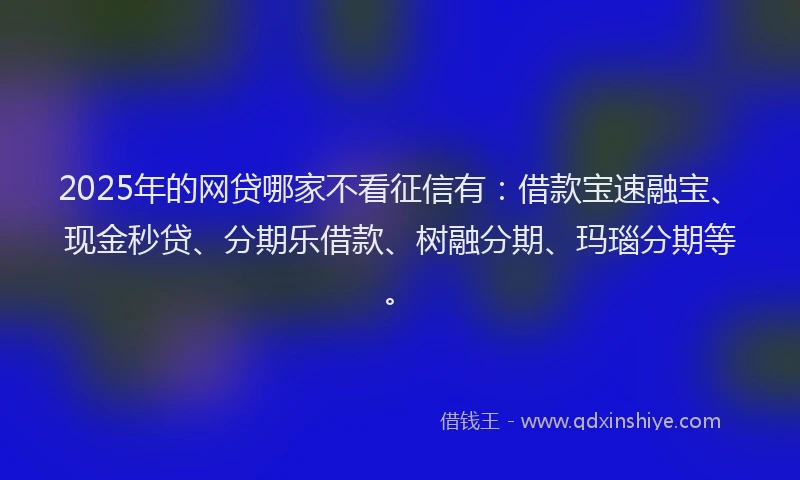 2025年的网贷哪家不看征信有：借款宝速融宝、现金秒贷、分期乐借款、树融分期、玛瑙分期等。