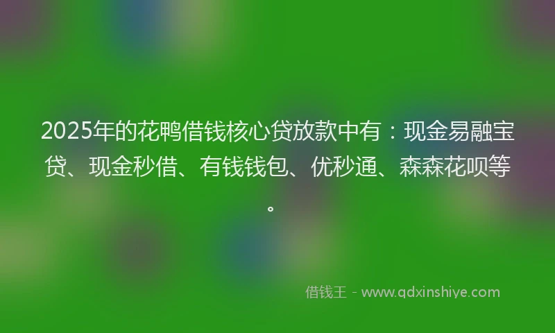 2025年的花鸭借钱核心贷放款中有：现金易融宝贷、现金秒借、有钱钱包、优秒通、森森花呗等。