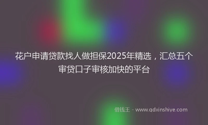 花户申请贷款找人做担保2025年精选，汇总五个审贷口子审核加快的平台