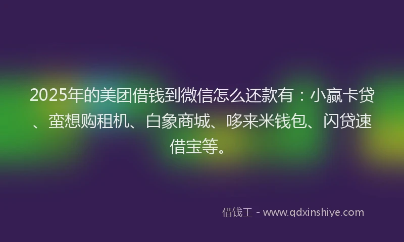 2025年的美团借钱到微信怎么还款有：小赢卡贷、蛮想购租机、白象商城、哆来米钱包、闪贷速借宝等。