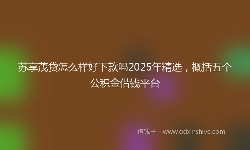 苏享茂贷怎么样好下款吗2025年精选，概括五个公积金借钱平台