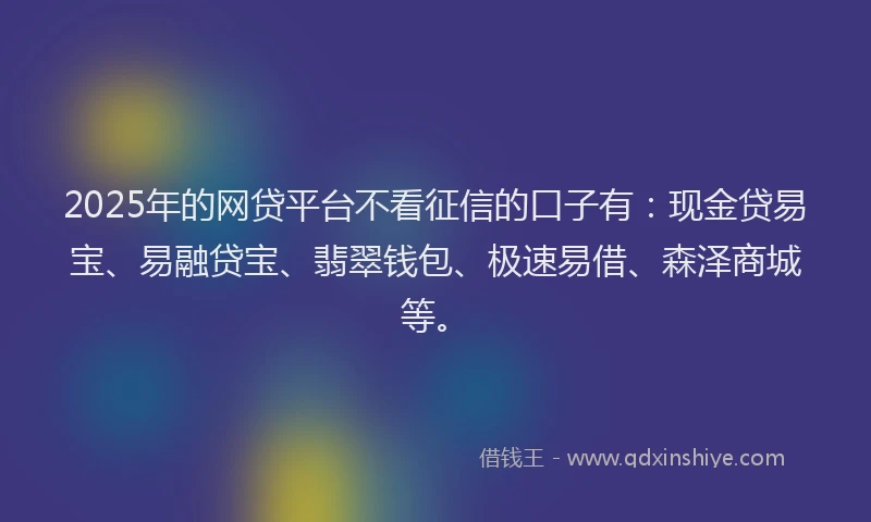 2025年的网贷平台不看征信的口子有：现金贷易宝、易融贷宝、翡翠钱包、极速易借、森泽商城等。
