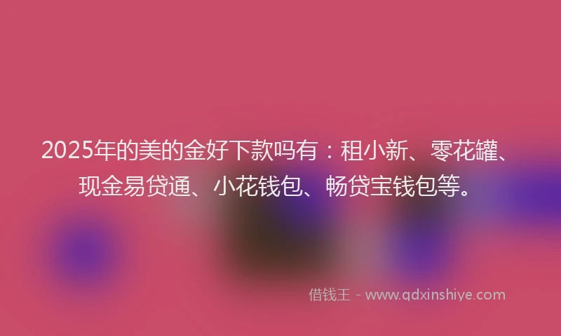 2025年的美的金好下款吗有：租小新、零花罐、现金易贷通、小花钱包、畅贷宝钱包等。