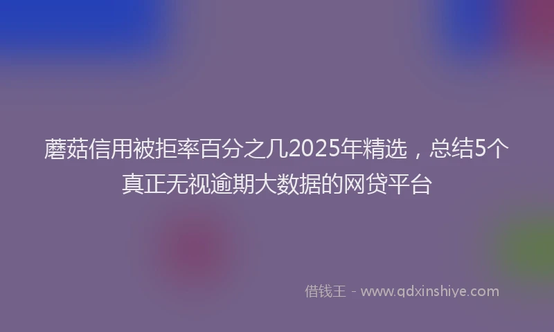 蘑菇信用被拒率百分之几2025年精选，总结5个真正无视逾期大数据的网贷平台