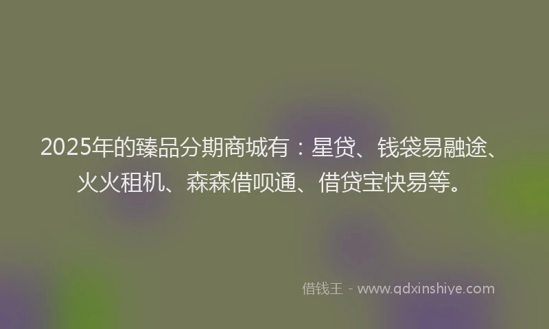 2025年的臻品分期商城有：星贷、钱袋易融途、火火租机、森森借呗通、借贷宝快易等。