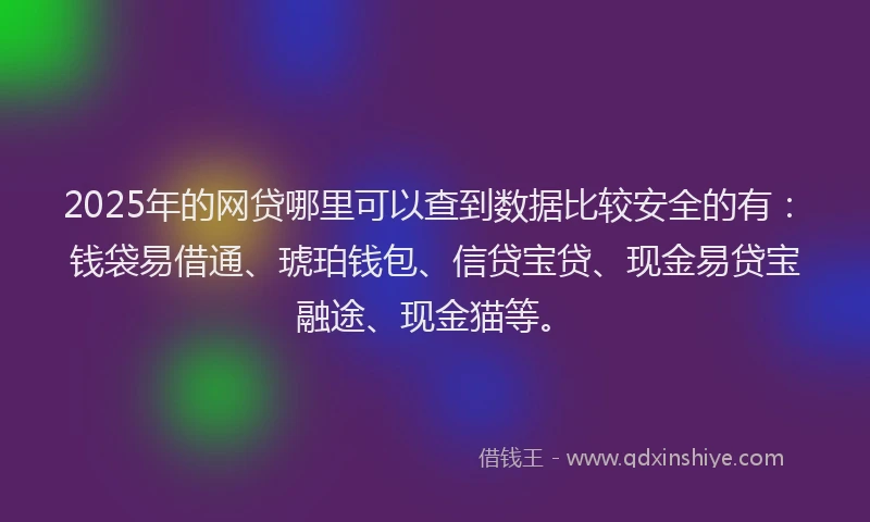 2025年的网贷哪里可以查到数据比较安全的有：钱袋易借通、琥珀钱包、信贷宝贷、现金易贷宝融途、现金猫等。