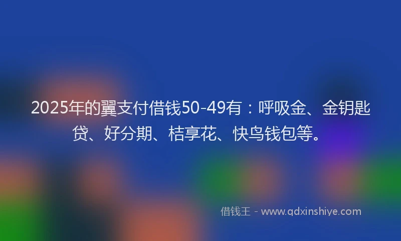 2025年的翼支付借钱50-49有：呼吸金、金钥匙贷、好分期、桔享花、快鸟钱包等。