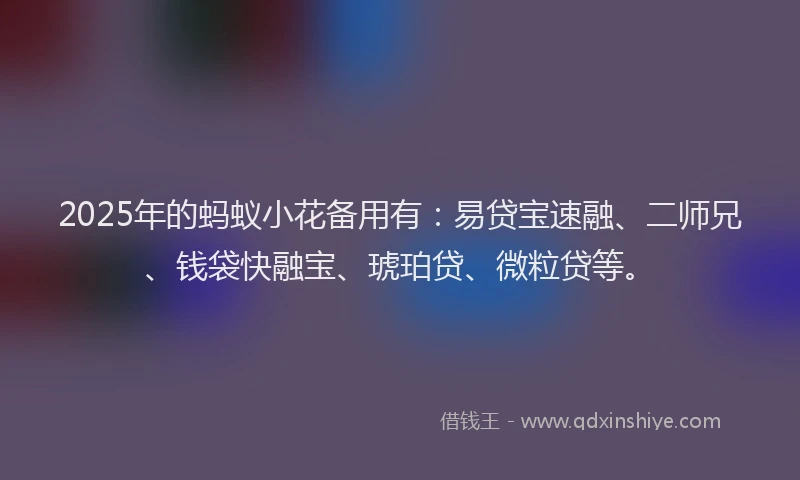 2025年的蚂蚁小花备用有：易贷宝速融、二师兄、钱袋快融宝、琥珀贷、微粒贷等。