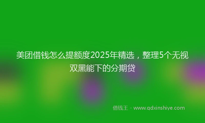 美团借钱怎么提额度2025年精选，整理5个无视双黑能下的分期贷