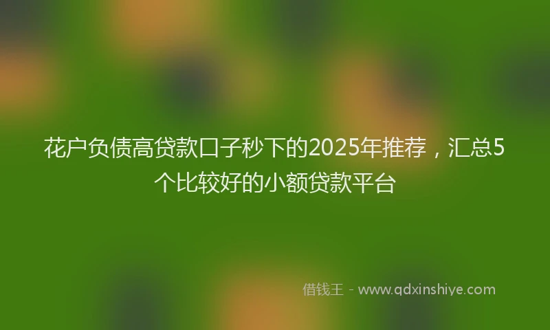 花户负债高贷款口子秒下的2025年推荐，汇总5个比较好的小额贷款平台