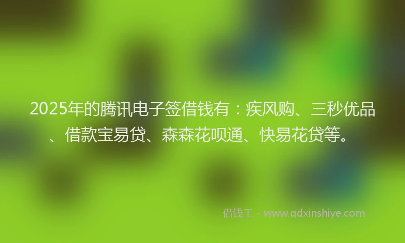 2025年的腾讯电子签借钱有：疾风购、三秒优品、借款宝易贷、森森花呗通、快易花贷等。