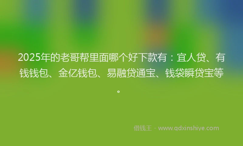 2025年的老哥帮里面哪个好下款有：宜人贷、有钱钱包、金亿钱包、易融贷通宝、钱袋瞬贷宝等。
