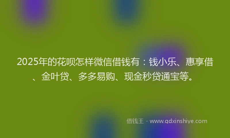 2025年的花呗怎样微信借钱有：钱小乐、惠享借、金叶贷、多多易购、现金秒贷通宝等。