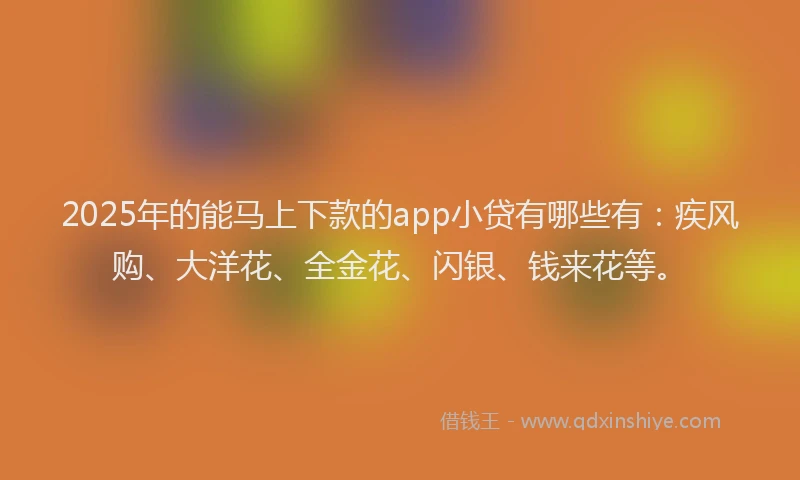 2025年的能马上下款的app小贷有哪些有：疾风购、大洋花、全金花、闪银、钱来花等。