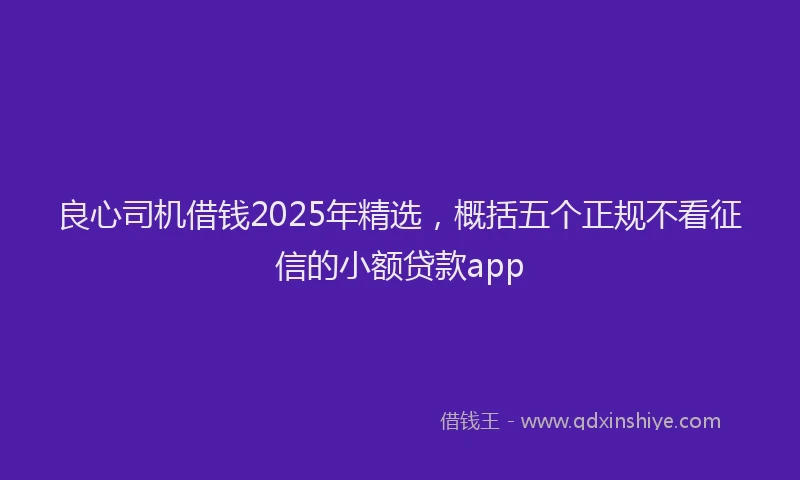 良心司机借钱2025年精选，概括五个正规不看征信的小额贷款app