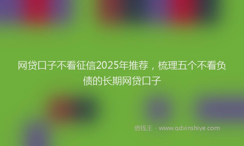 网贷口子不看征信2025年推荐，梳理五个不看负债的长期网贷口子