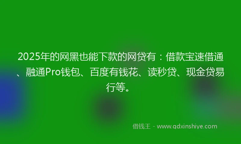 2025年的网黑也能下款的网贷有：借款宝速借通、融通Pro钱包、百度有钱花、读秒贷、现金贷易行等。
