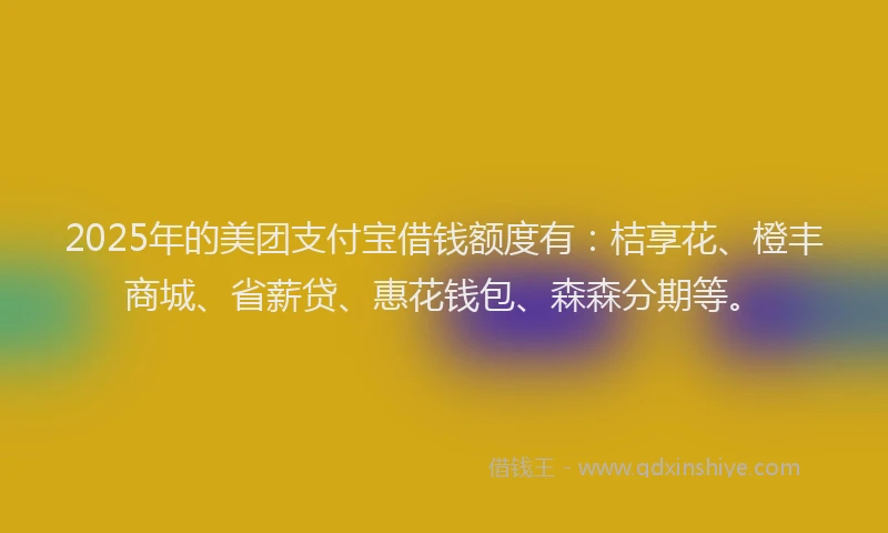 2025年的美团支付宝借钱额度有：桔享花、橙丰商城、省薪贷、惠花钱包、森森分期等。
