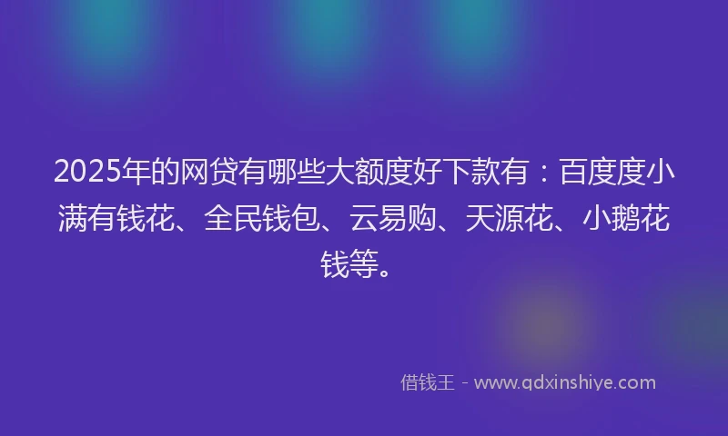 2025年的网贷有哪些大额度好下款有：百度度小满有钱花、全民钱包、云易购、天源花、小鹅花钱等。