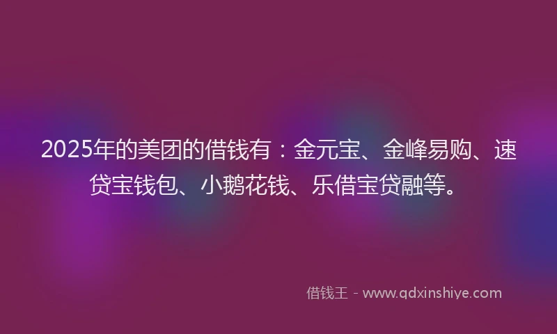 2025年的美团的借钱有：金元宝、金峰易购、速贷宝钱包、小鹅花钱、乐借宝贷融等。