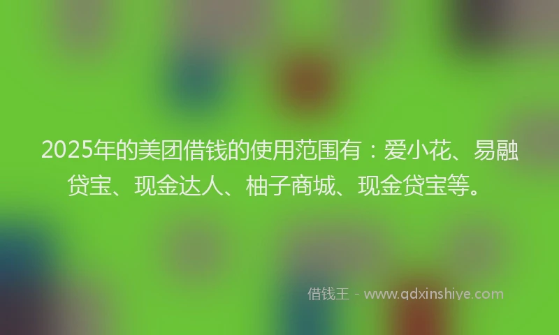2025年的美团借钱的使用范围有：爱小花、易融贷宝、现金达人、柚子商城、现金贷宝等。