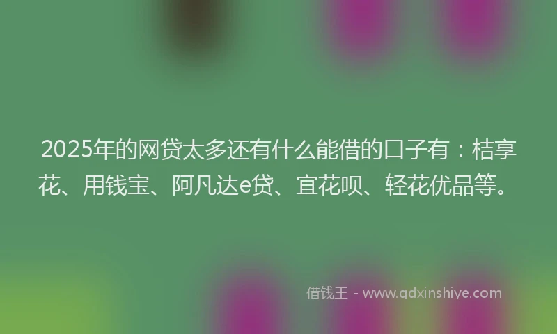 2025年的网贷太多还有什么能借的口子有：桔享花、用钱宝、阿凡达e贷、宜花呗、轻花优品等。