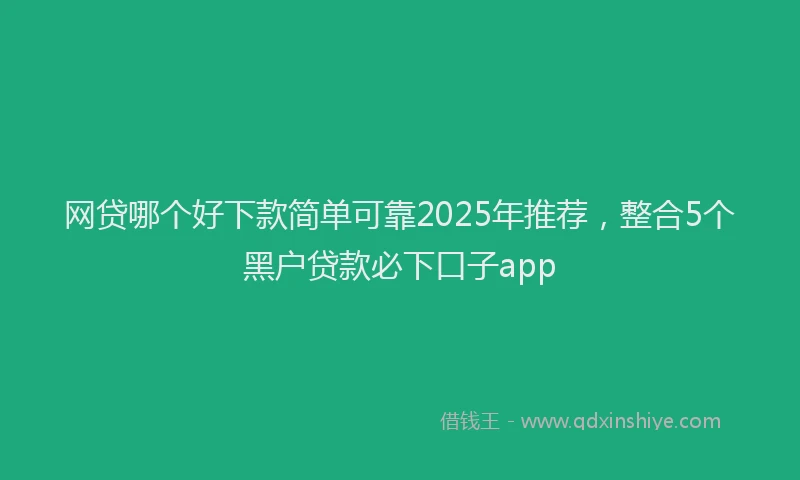 网贷哪个好下款简单可靠2025年推荐，整合5个黑户贷款必下口子app
