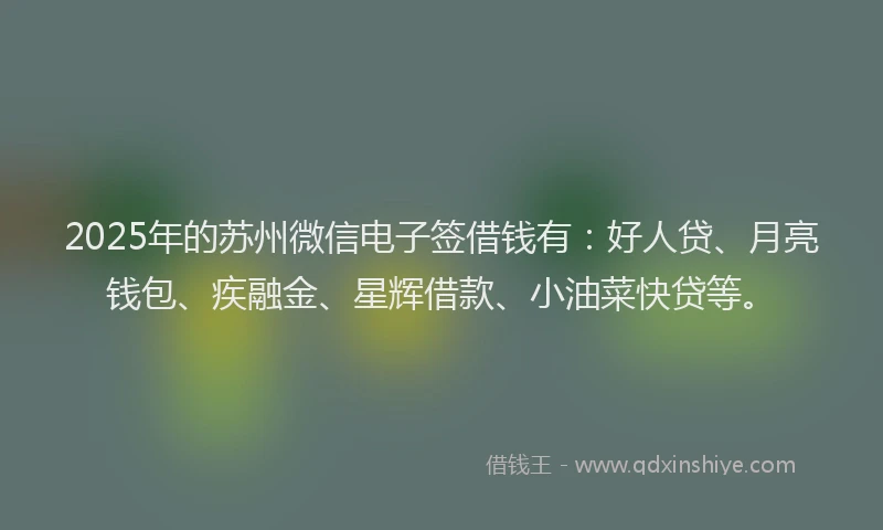 2025年的苏州微信电子签借钱有：好人贷、月亮钱包、疾融金、星辉借款、小油菜快贷等。