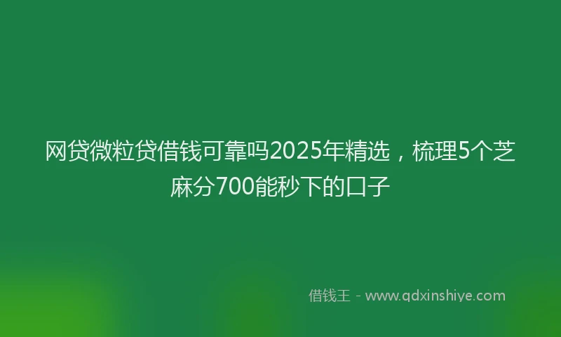 网贷微粒贷借钱可靠吗2025年精选，梳理5个芝麻分700能秒下的口子