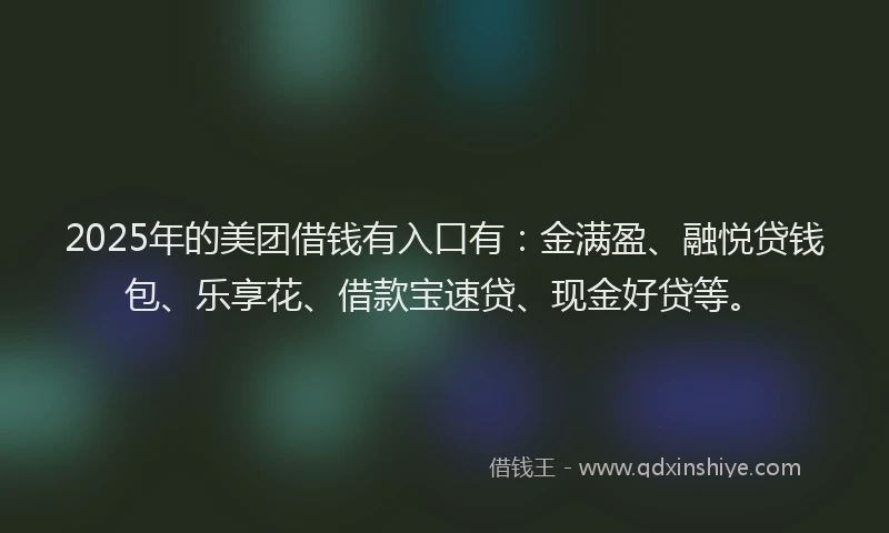 2025年的美团借钱有入口有：金满盈、融悦贷钱包、乐享花、借款宝速贷、现金好贷等。